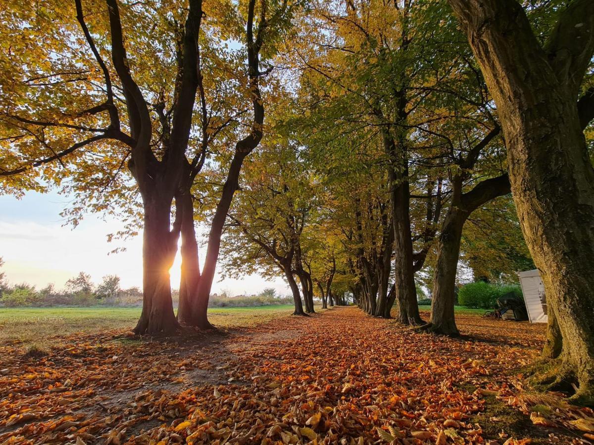 Vila Dwór Podstolice Exteriér fotografie